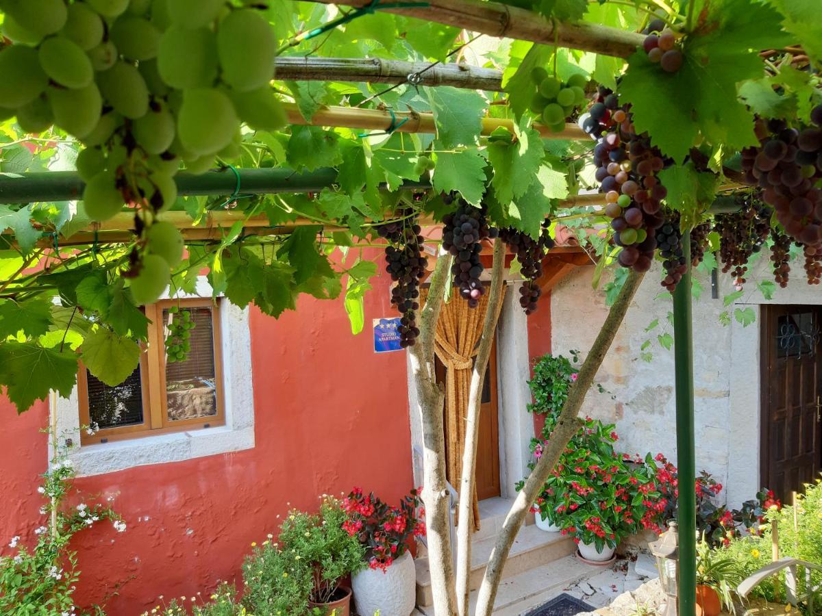 Guesthouse Villa Marija Motovun Εξωτερικό φωτογραφία