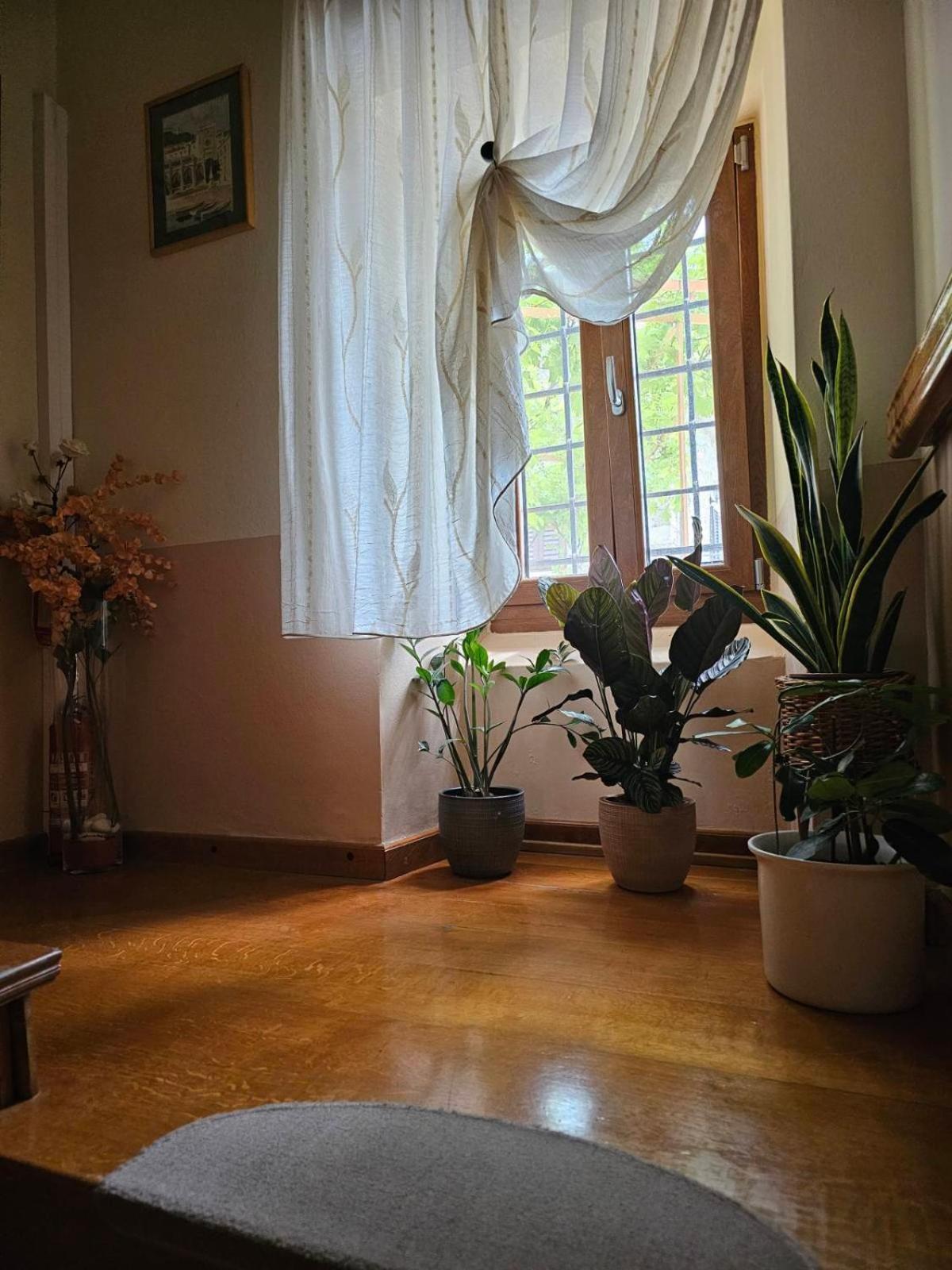 Guesthouse Villa Marija Motovun Εξωτερικό φωτογραφία