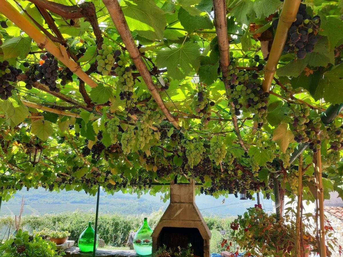Guesthouse Villa Marija Motovun Εξωτερικό φωτογραφία